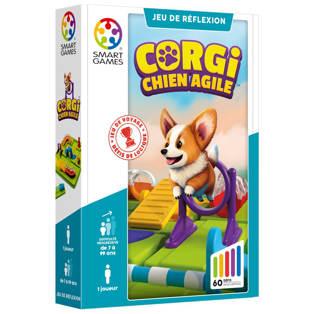 Corgi, chien agile
