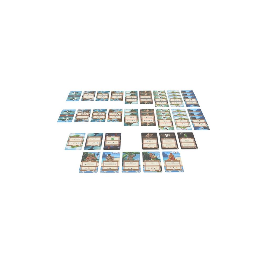 Palm Island – Image 3