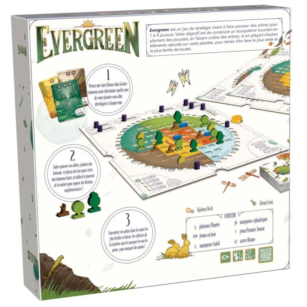 Evergreen – Image 2