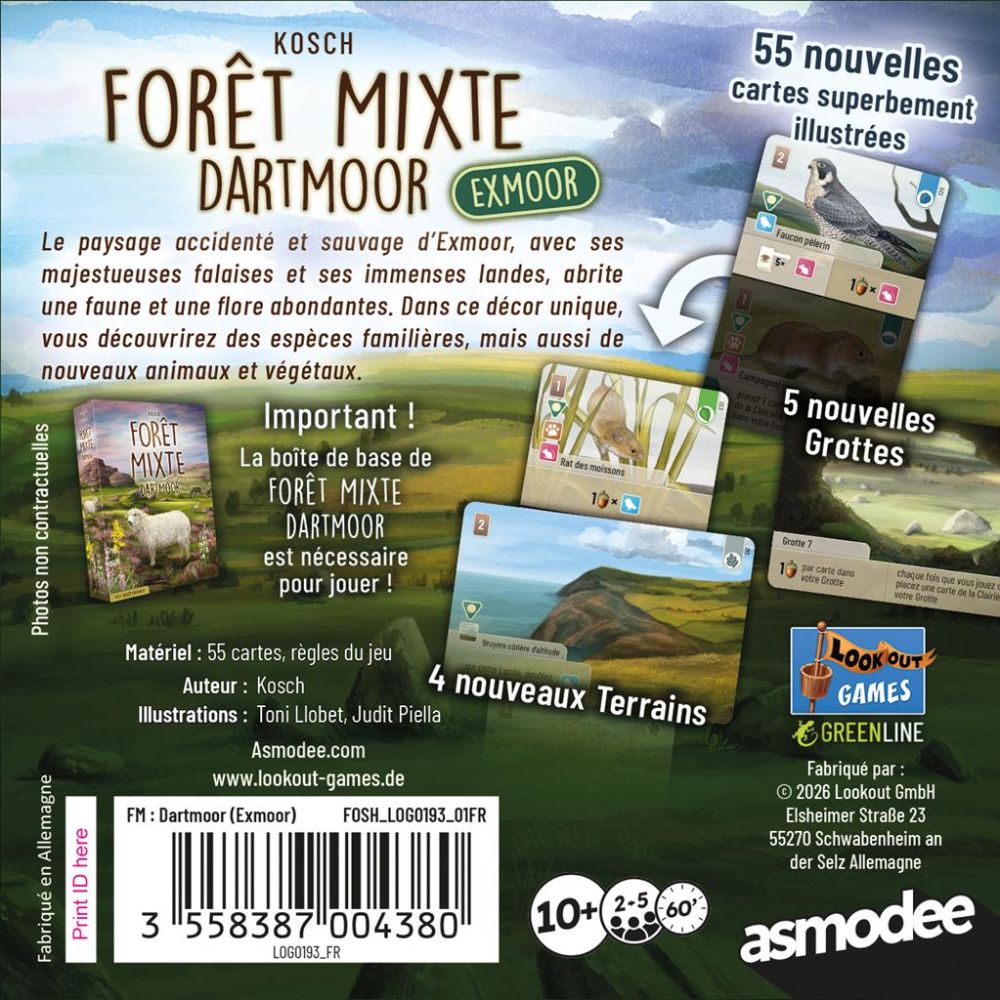 Forêt Mixte Dartmoor : Exmoor (Ext) – Image 2